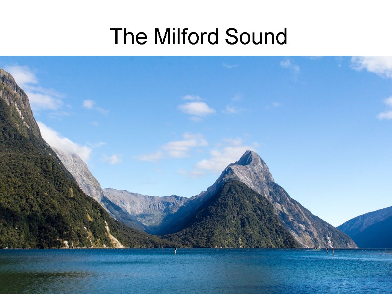 The Milford Sound